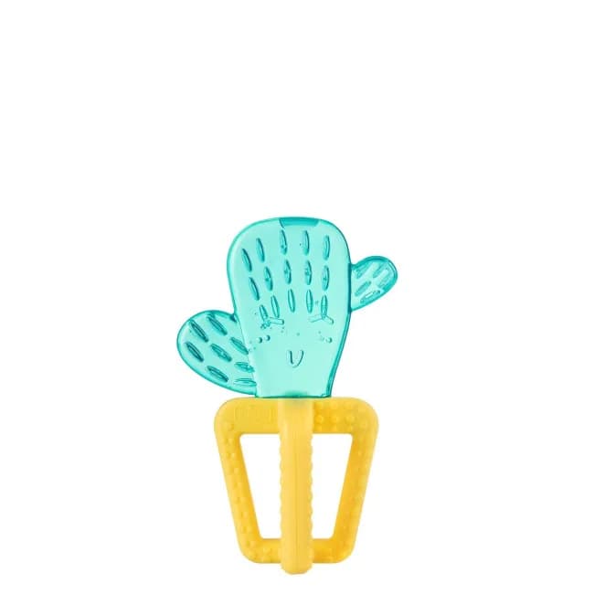 Ch.Ane28140300000 Anel Dent Fresh Catus 4M+