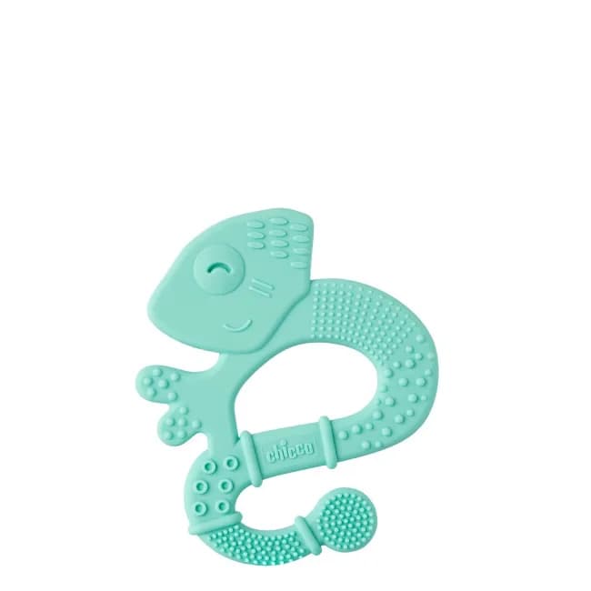 Ch.Ane28110200000 Anel Dent Iguana Boy 2M+