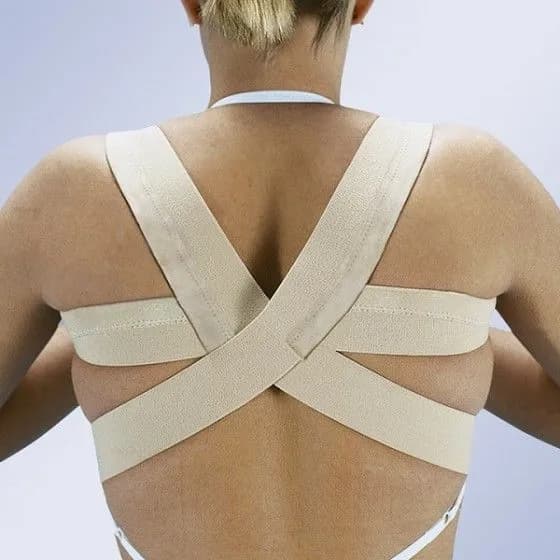 Orliman Corrector Dorsal T2 E240